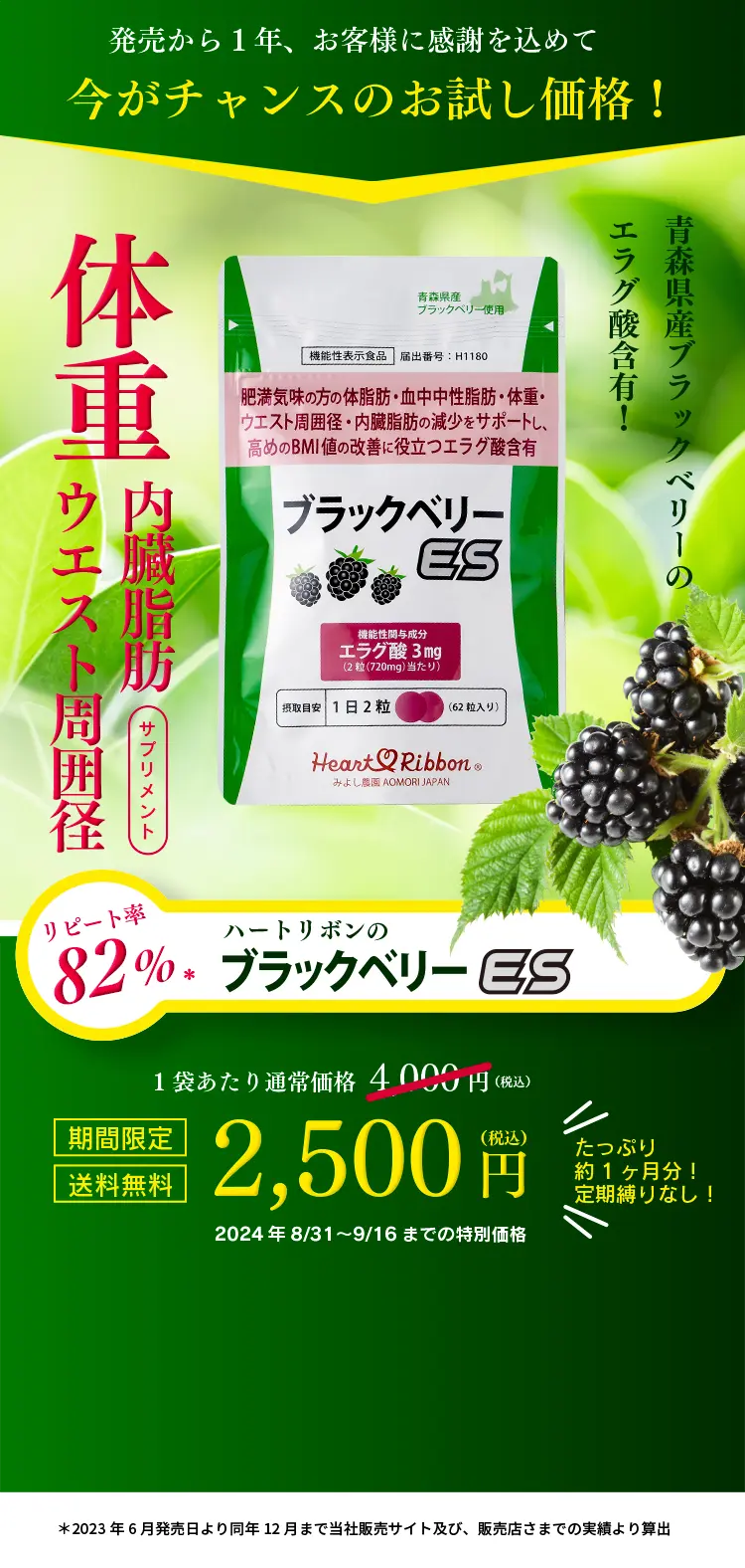 ハートリボンの「ブラックベリーES」。期間限定、送料無料！発売から１年、感謝を込めてのお試し価格2,500円！！