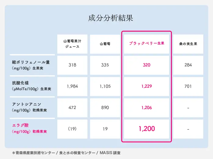 成分分析結果表