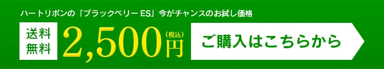 今すぐ購入する