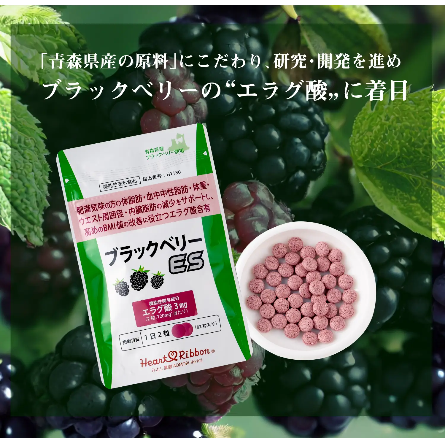 「青森県産の原料」にこだわり、研究・開発を進め、ブラックベリーの“エラグ酸“に着目