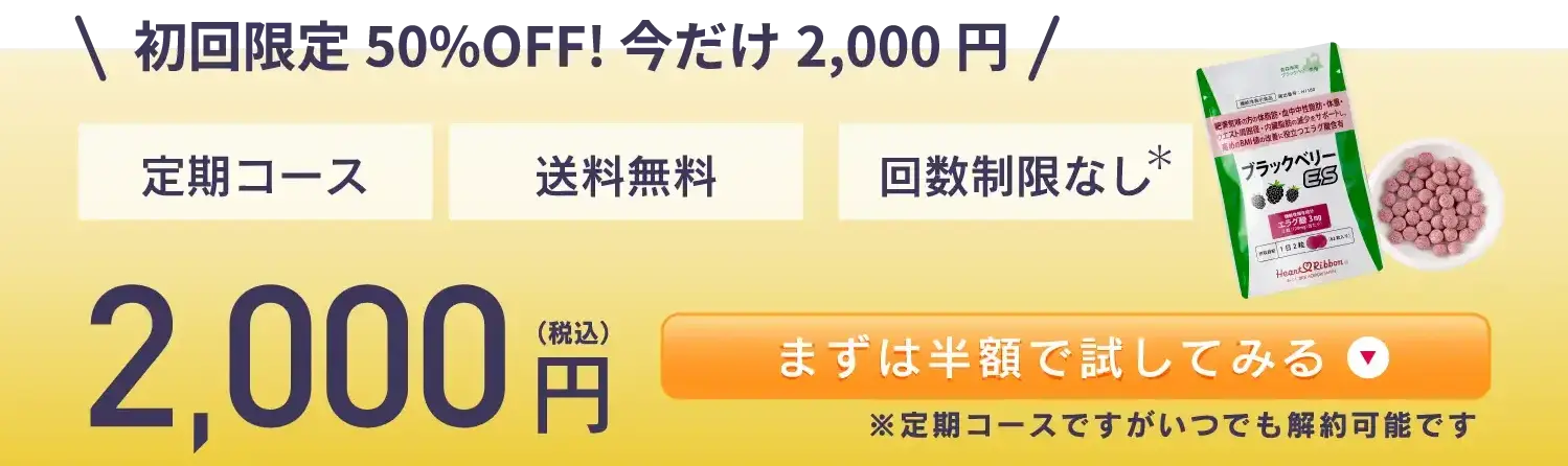 初回限定50%OFF!今だけ2,000円！まずは半額で試してみる